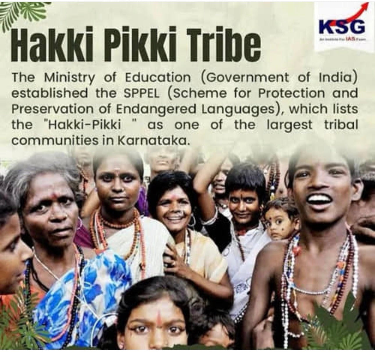 Adivasi Hakki Pikki Neelambari Herbal Hair OiL